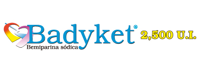 Badyket logo2500UI